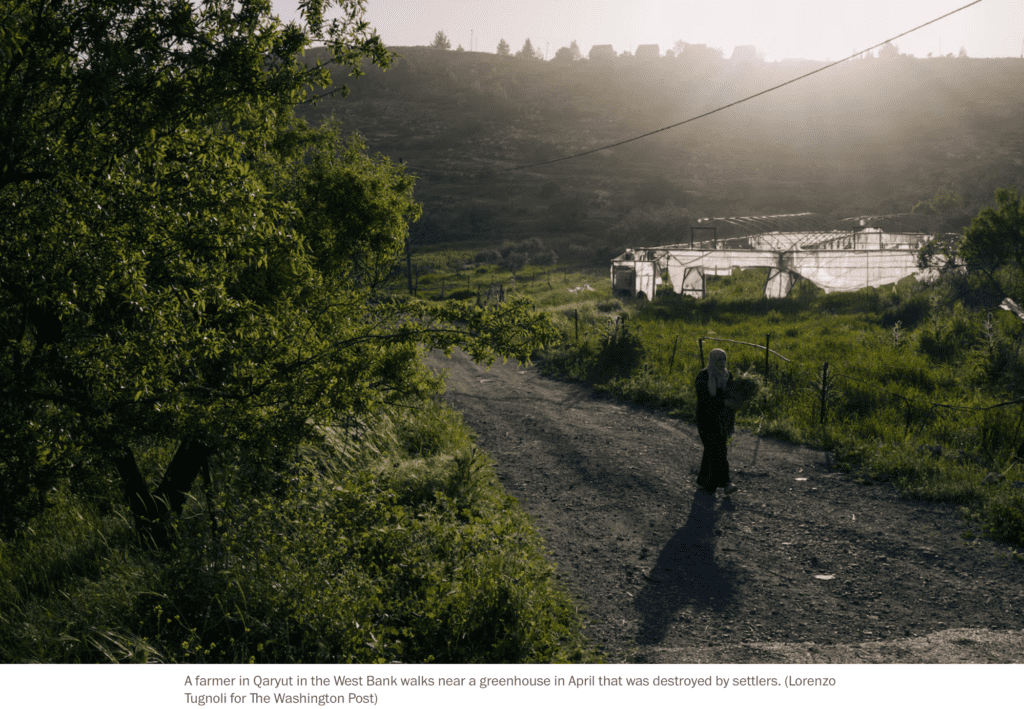 Washington Post — A farmer walks a rural road past a greenhouse in Palestine